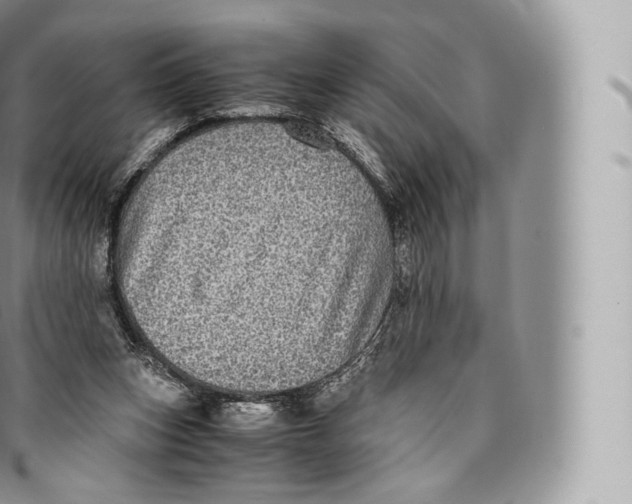 X0000096480159200802141730