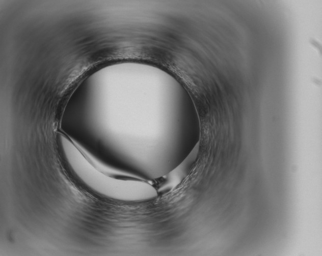 X0000096480160200802141730