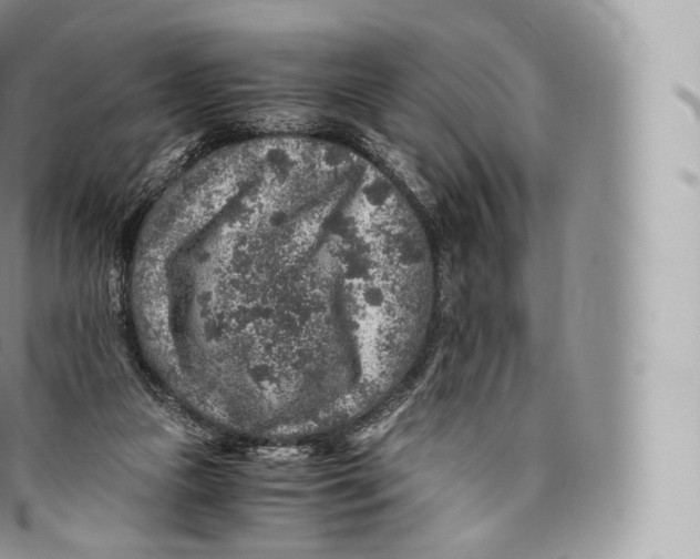 X0000096480161200802141730