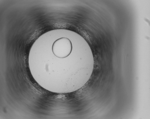 X0000096480162200802141730