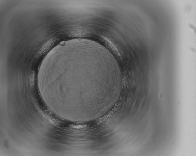 X0000096480163200802141730