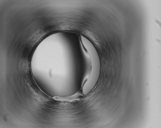 X0000096480164200802141730