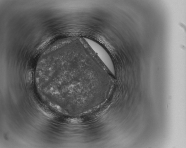 X0000096480165200802141730