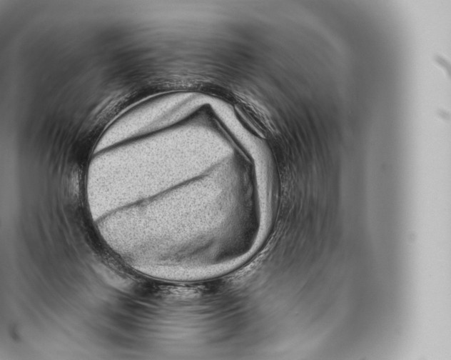 X0000096480166200802141730