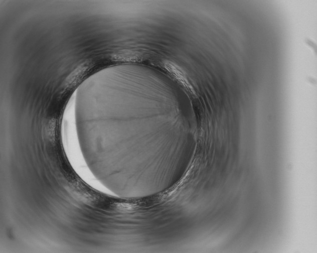 X0000096480167200802141730