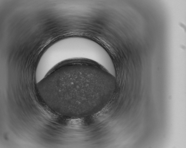 X0000096480168200802141730