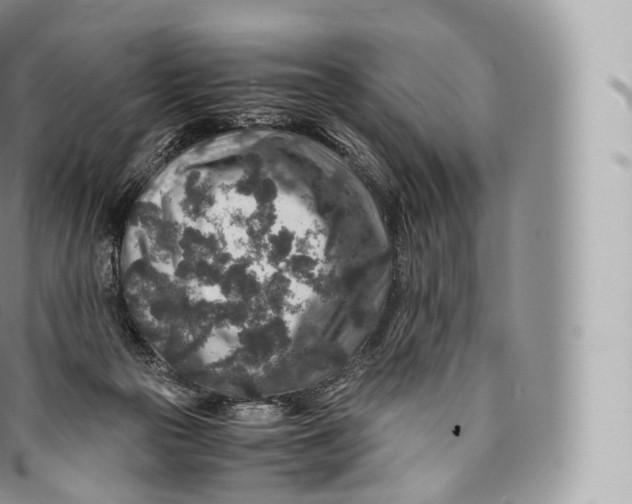 X0000096480169200802141730