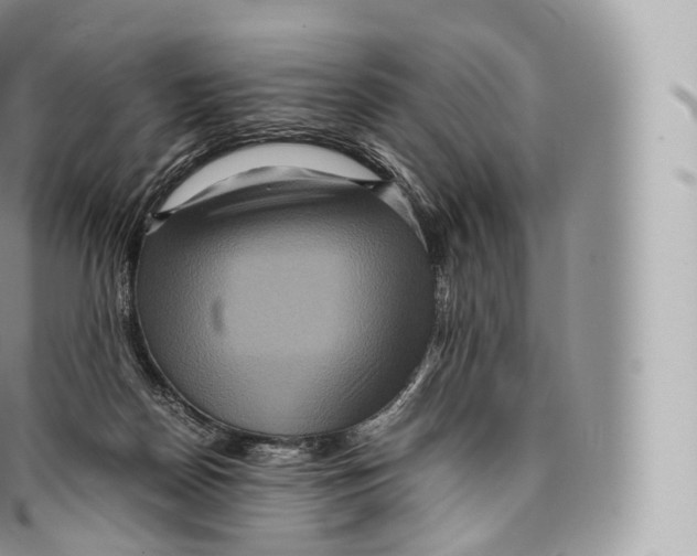 X0000096480170200802141730