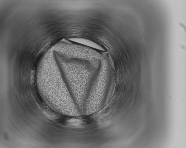 X0000096480171200802141730