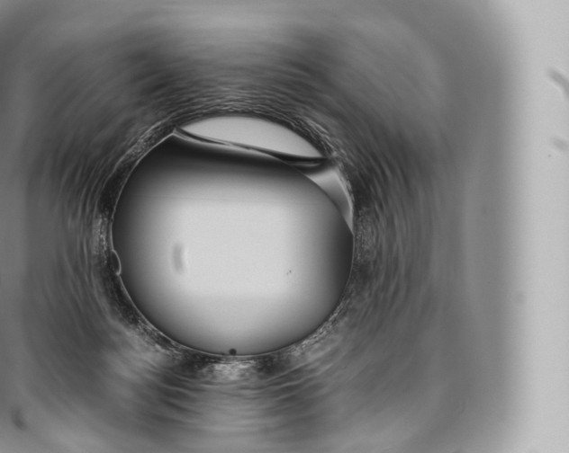 X0000096480172200802141730