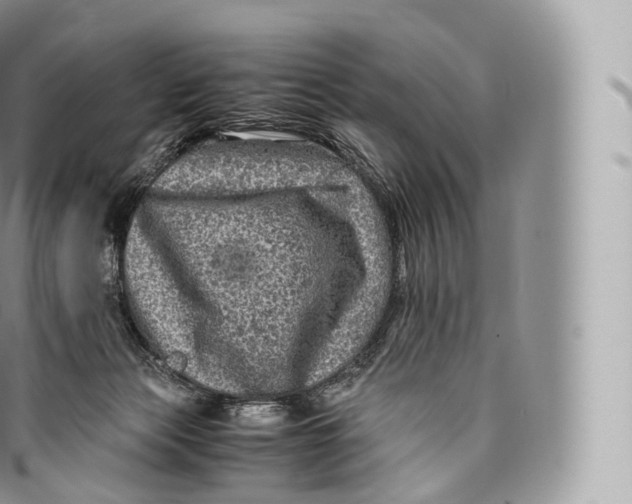 X0000096480173200802141730