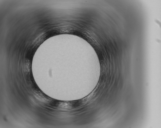 X0000096480174200802141730