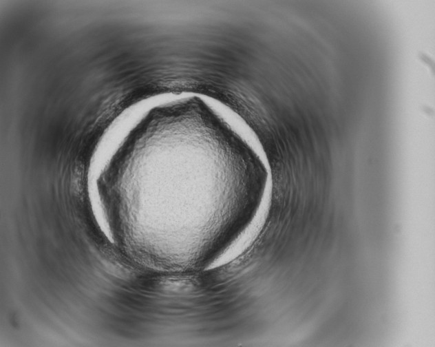 X0000096480175200802141730