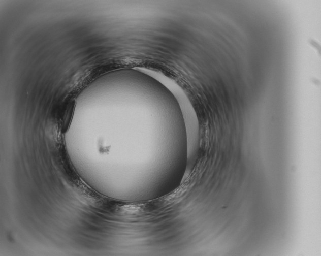 X0000096480176200802141730