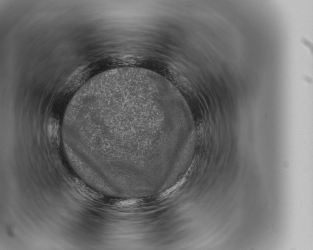 X0000096480178200802141730