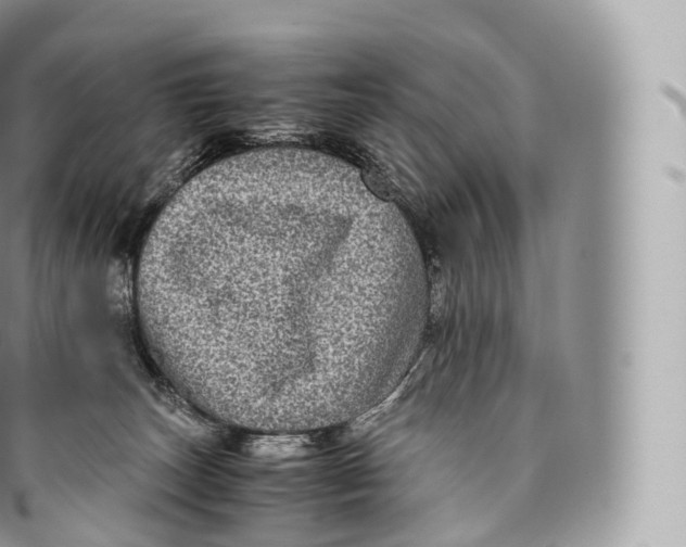 X0000096480179200802141730