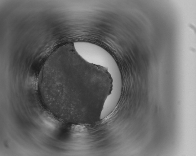 X0000096480180200802141730