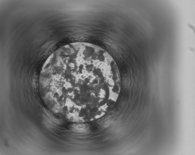 X0000096480181200802141730