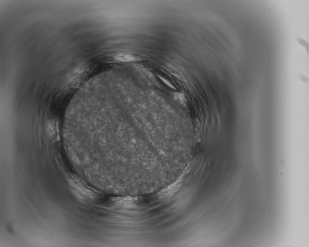 X0000096480182200802141730