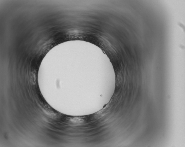 X0000096480183200802141730