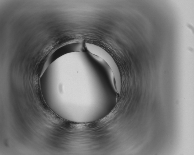 X0000096480184200802141730