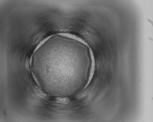 X0000096480185200802141730