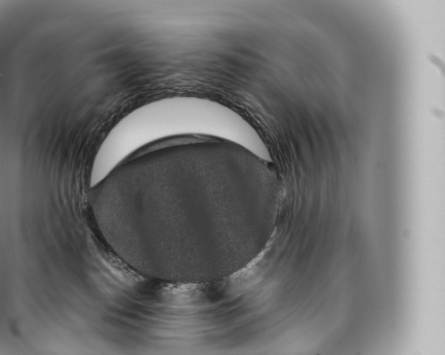 X0000096480186200802141730