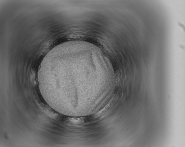 X0000096480187200802141730