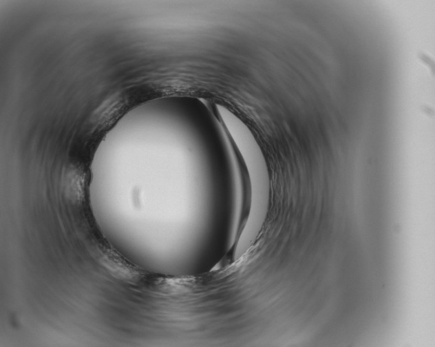 X0000096480188200802141730