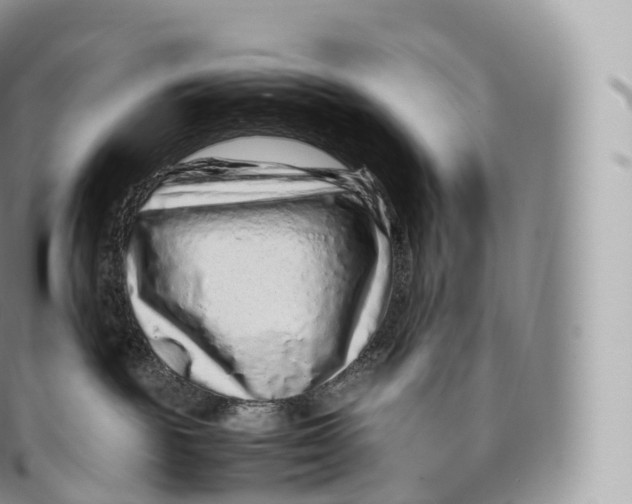 X0000096480189200802141730