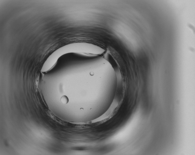 X0000096480190200802141730