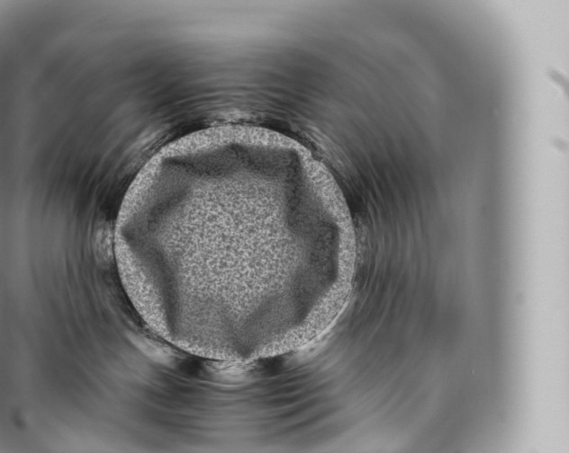 X0000096480191200802141730