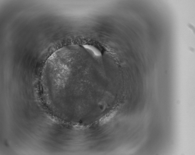 X0000096480192200802141730