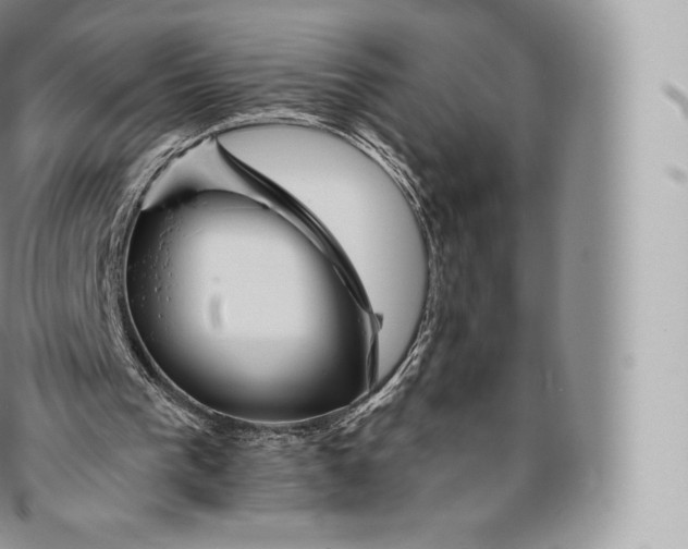 X0000096480193200802141730