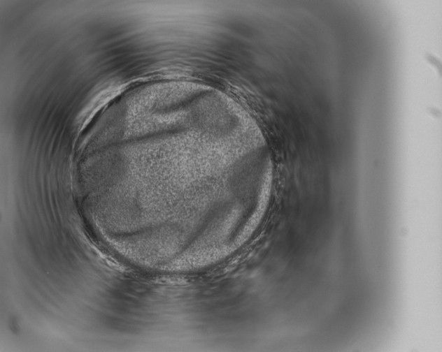 X0000096480194200802141730