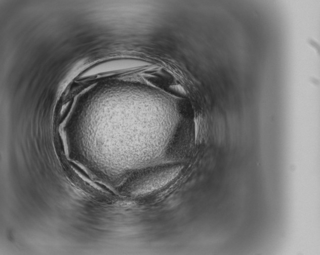 X0000096480195200802141730