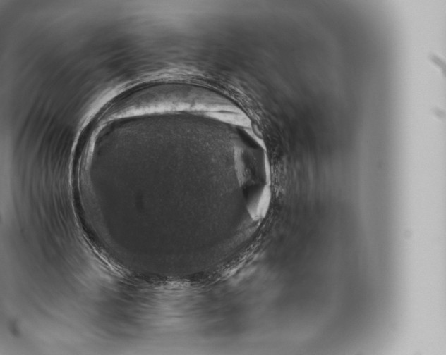 X0000096480196200802141730