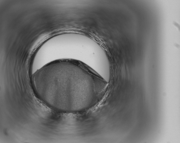 X0000096480197200802141730