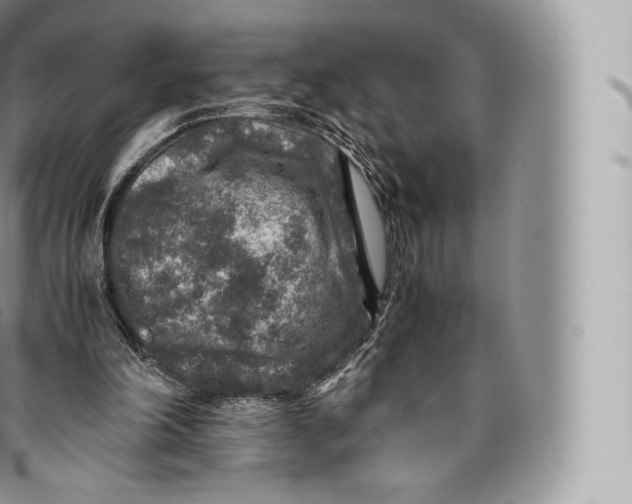 X0000096480198200802141730