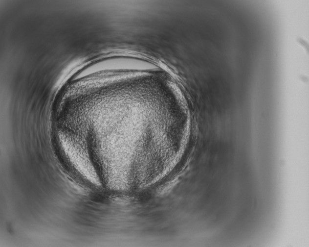 X0000096480199200802141730