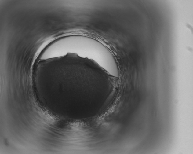 X0000096480200200802141730