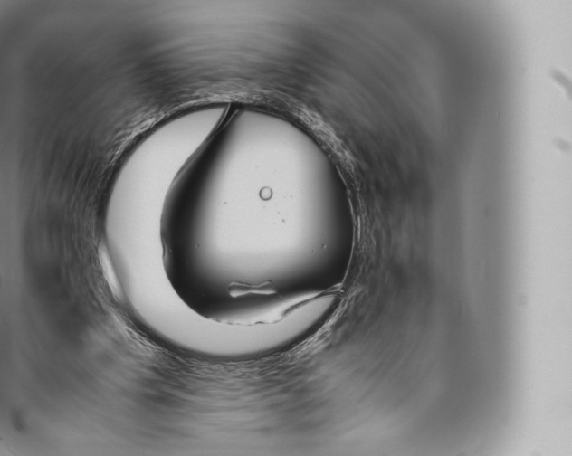 X0000096480201200802141730