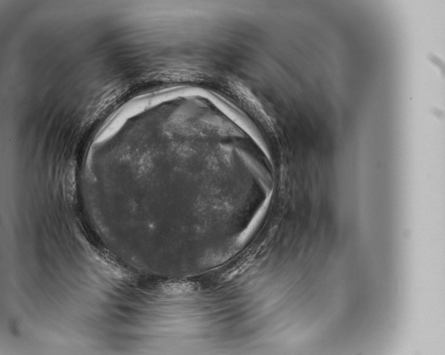 X0000096480202200802141730