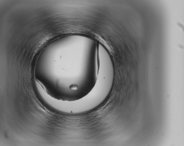 X0000096480203200802141730