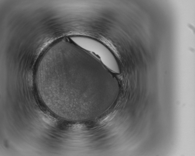 X0000096480204200802141730