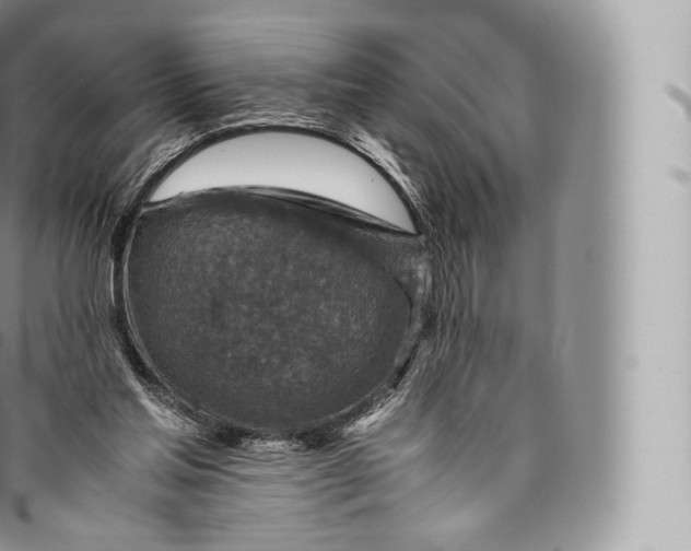 X0000096480205200802141730