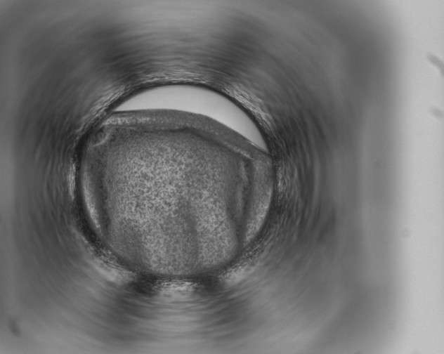 X0000096480206200802141730