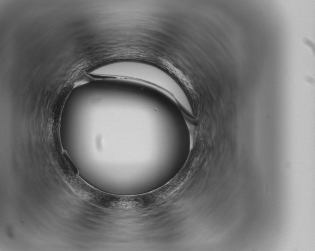 X0000096480209200802141730