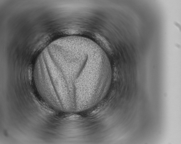 X0000096480210200802141730