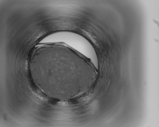 X0000096480211200802141730